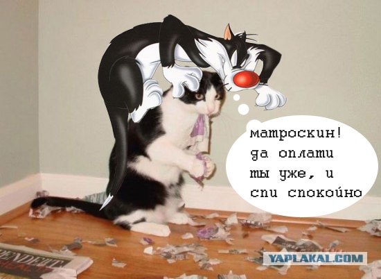 кот Матроскин и счёт за интернет