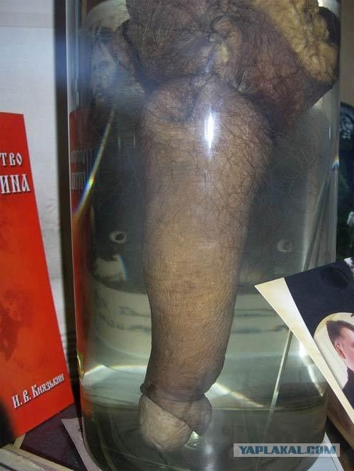 прикольные продукты