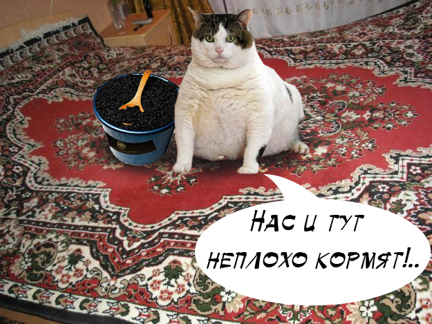 Выиграй 3кг черной икры!