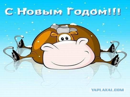 Новогоднее поздравление всему ЯПу и не только
