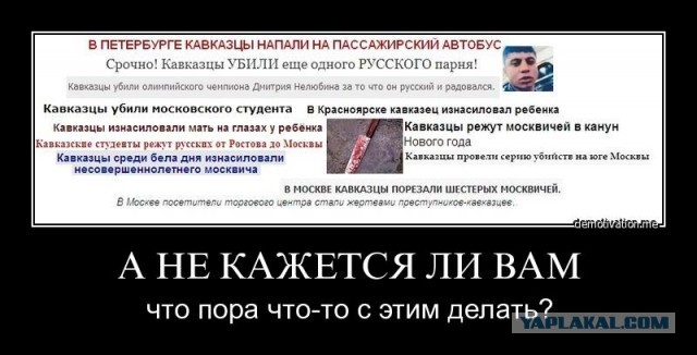 Бородачи, не желая платить за продукты, проломили молотком голову сотруднику «Пятёрочки» в Петербурге