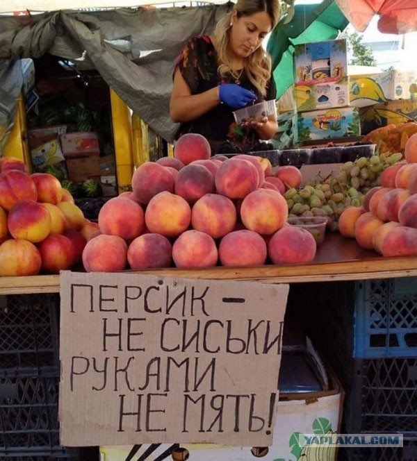 Разомнем перед пятницей упоротость