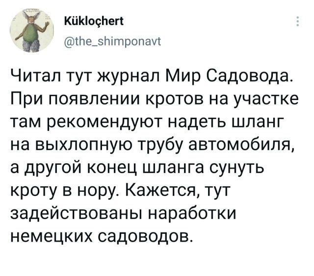 Картинки и мемы для настроения