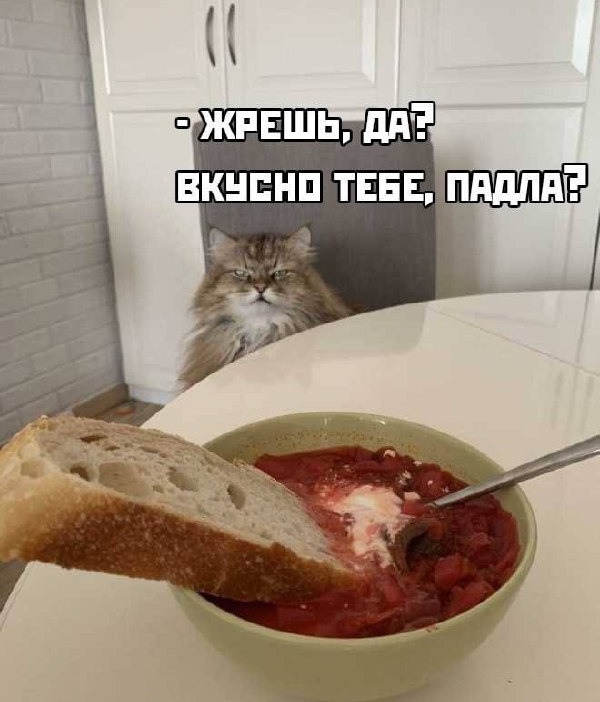 Так себе картинки 30.07.21