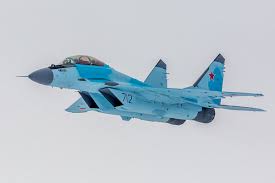 Эксперты считают, что гусь, летящий вверх ногами, просто выпендривается