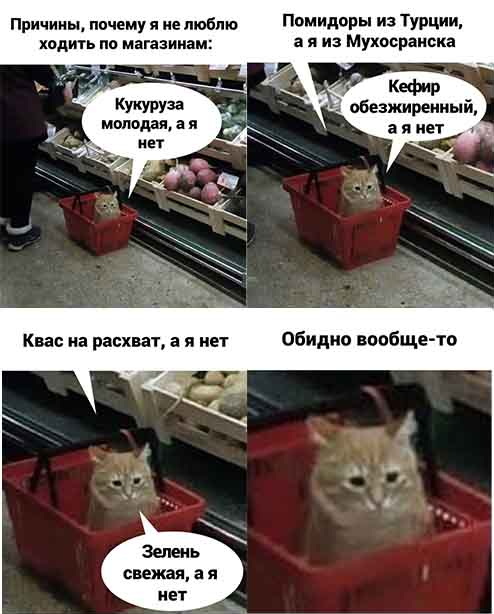 Кретинизмы из сети 13.08.2021