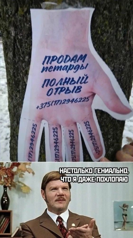 Всяческие картинки 20.12.2021