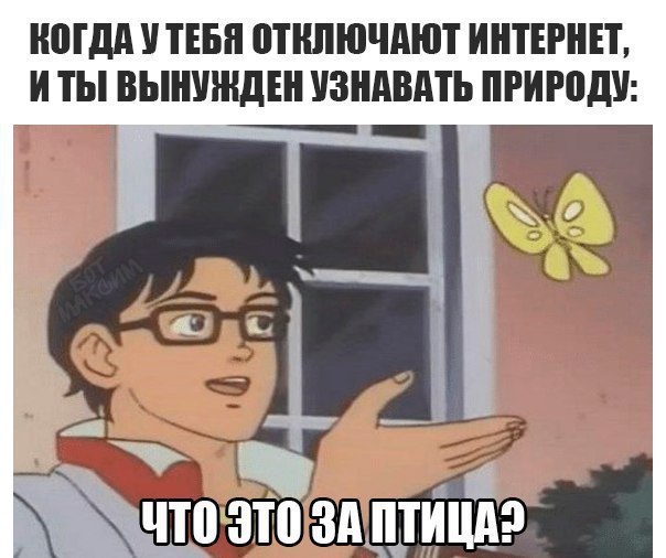 Псс..! Мемов надо?