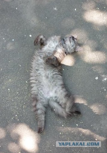 Зарисовки из Одессы