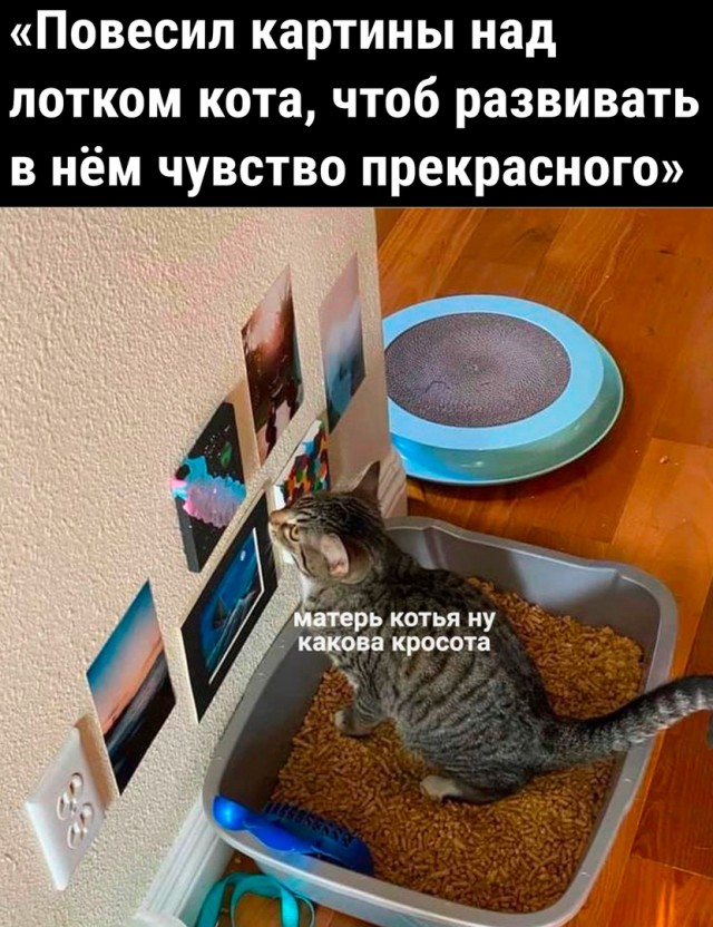 Картинки и мемы, всем отличных выходных
