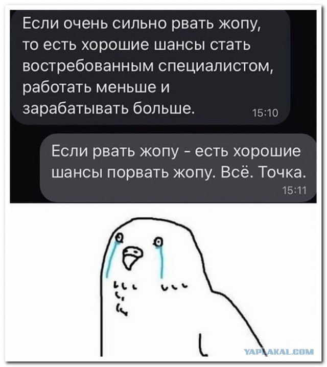 Забавные комментарии из социальных сетей (02.05.22)
