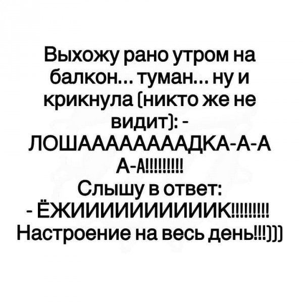 Пятница. Вечер. Картинки всякие... #5