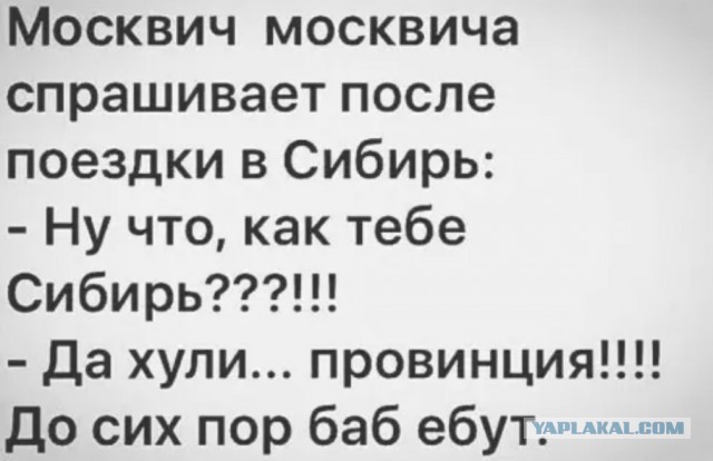 Артемия Лебедева грозят убить за "Новосибирск - жопа".