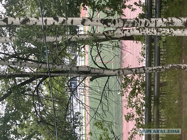 Якут выгоняет кавказцев с детской площадки