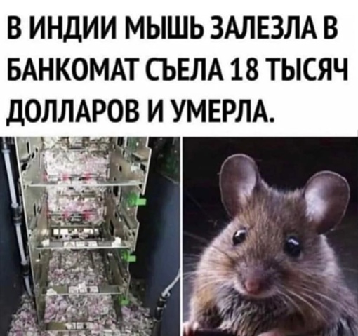 Картинки и мемы для настроения. Выходные скоро