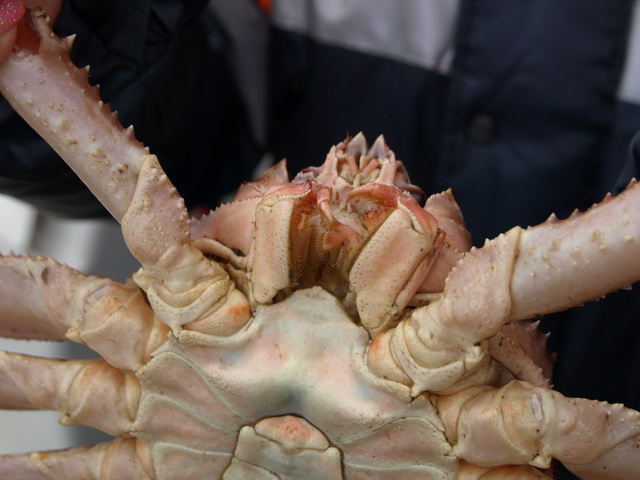 Петропавловск-Камчатский и его окрестности...