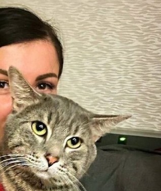 Бортпроводники спасли кота Лешку, которого не пускали в Таиланд