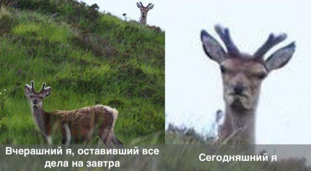 Картинки и мемы, всем хороших выходных