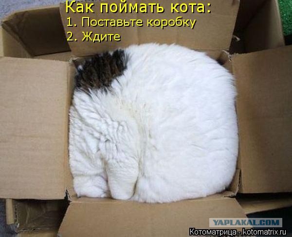 Подборка самых баянистых баянов! Ностальгируем...