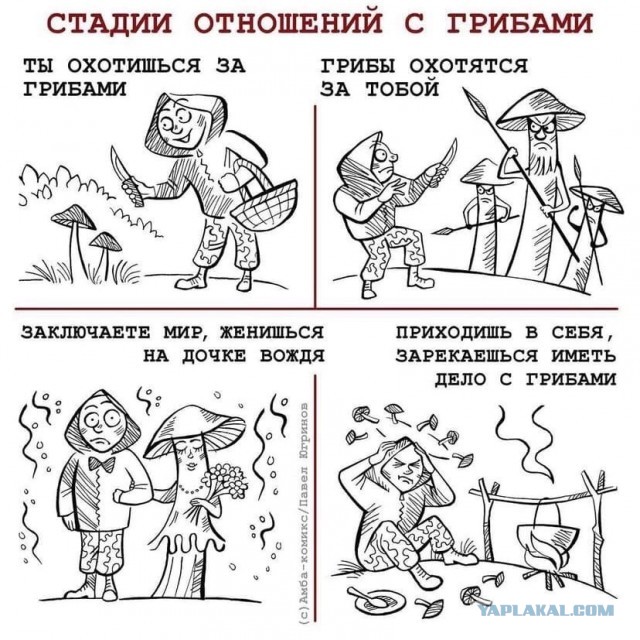 А такое вы видели?