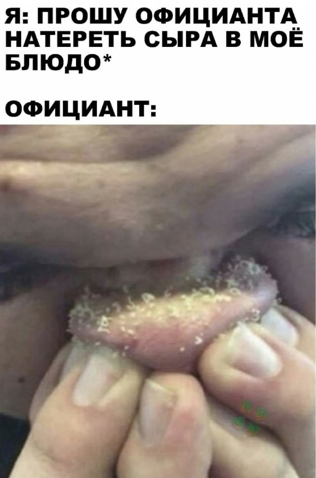 Картинки из Дристоля