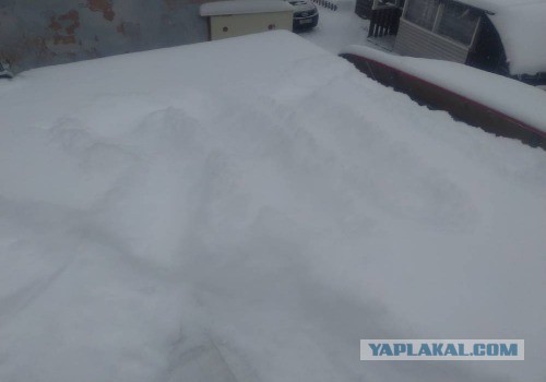 Сколько зарабатывает 5 тонник в месяц. Итоги