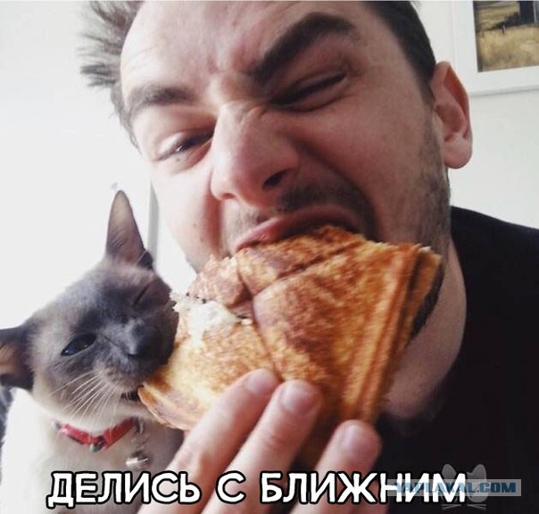 Так себе картинки 11.05.24