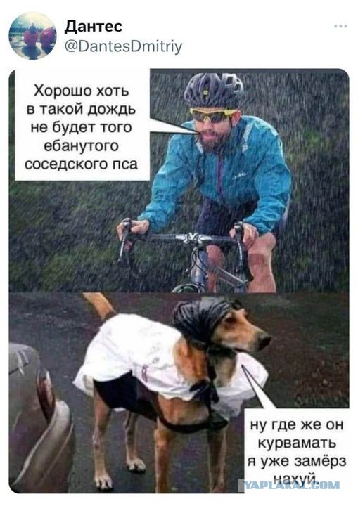 Картинки и буквы 24.06.2024