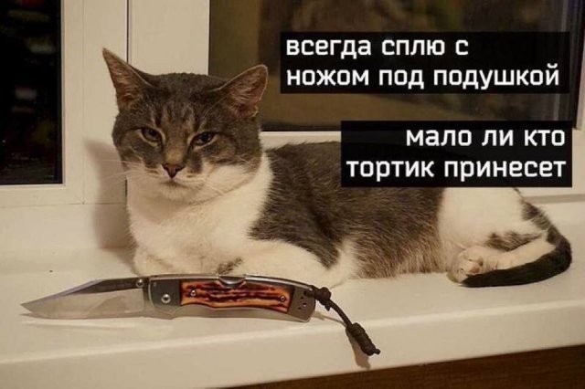Чуток картинок