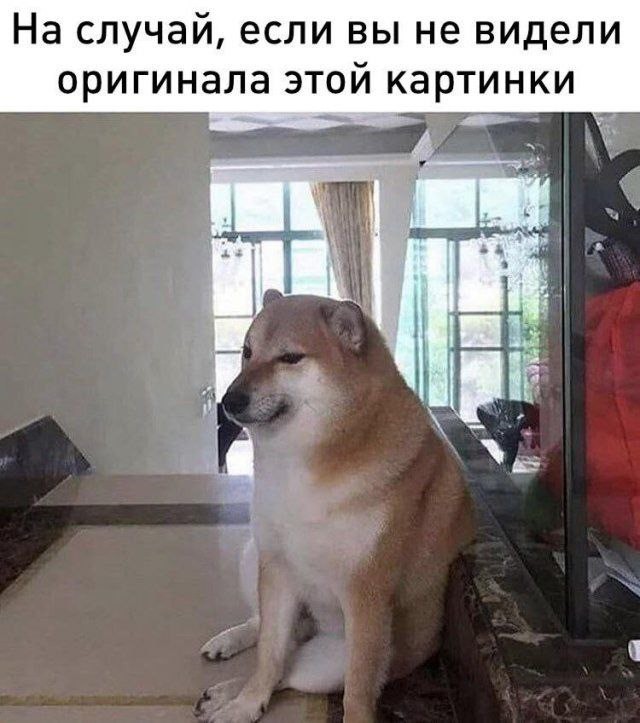 Немного забавных картинок