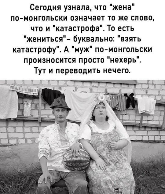 Так себе картинки 20.07.24