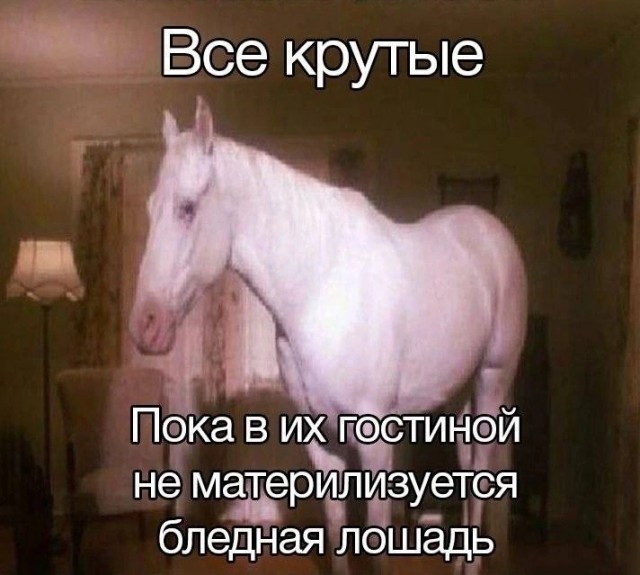 Нуштош 16.08.2024