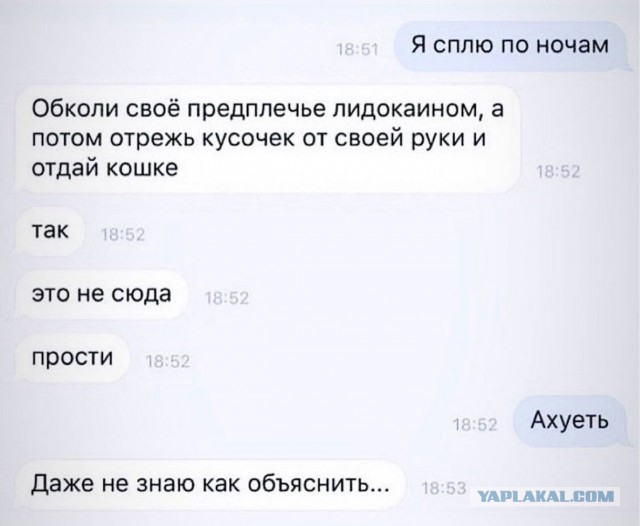 Деградируем и подпеваем - v. 2,0