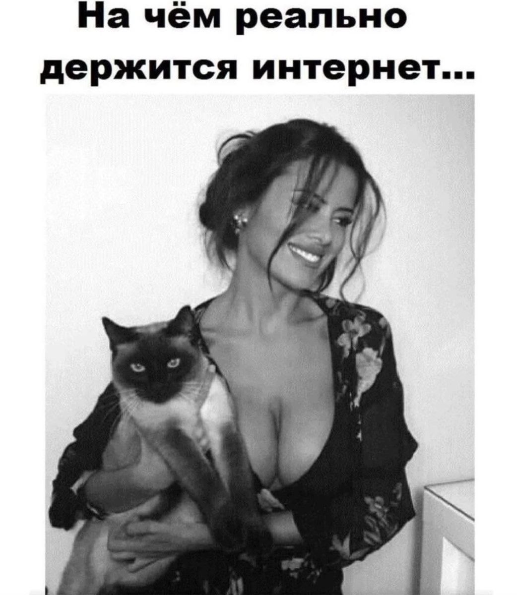 Фундамент интернета