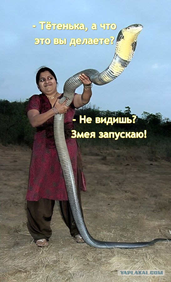Нуштош 10.04.2025. Временное помутнение рассудка (s3e10)