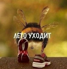 Чтобы лето не кончалось