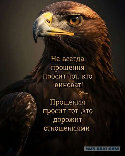 Картинки для деградации 56 (разной степени свежести)