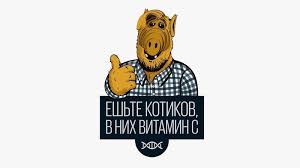 Ученые поняли, почему кошки пробуют воду лапой