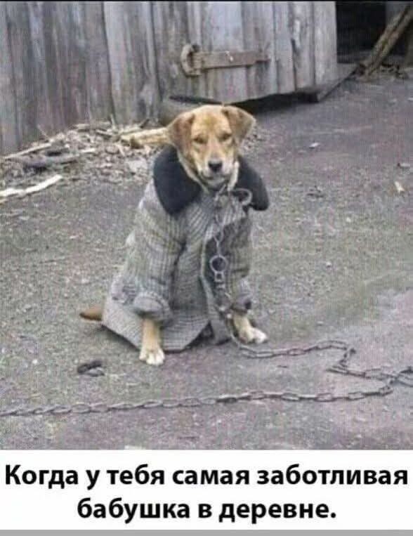 Последняя маленькая пятница 2025