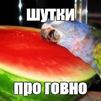 Новый тренд на тортики