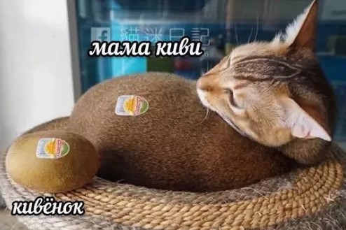 Пакет брать будете?