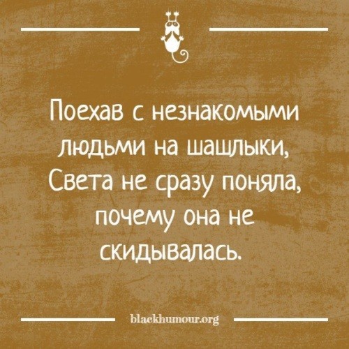 Презентация на тему "Почему меня нужно брать на шашлыки"