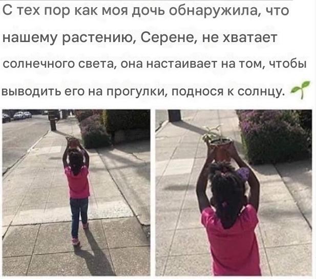 Весна в мемах