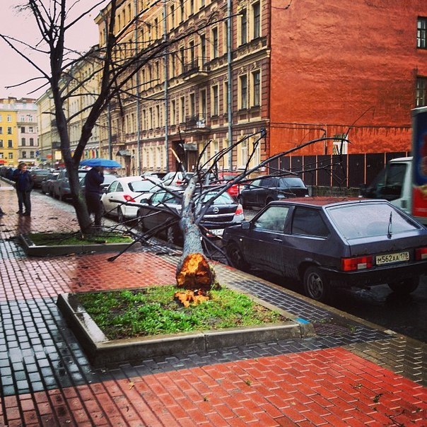 "Святой  Иуда" в Санкт-Петербурге