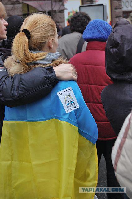 Майдан 2013, Киев
