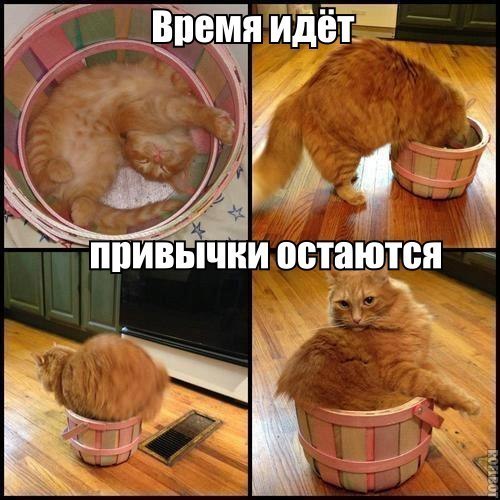 Весёлые картинки. Разбавим будни