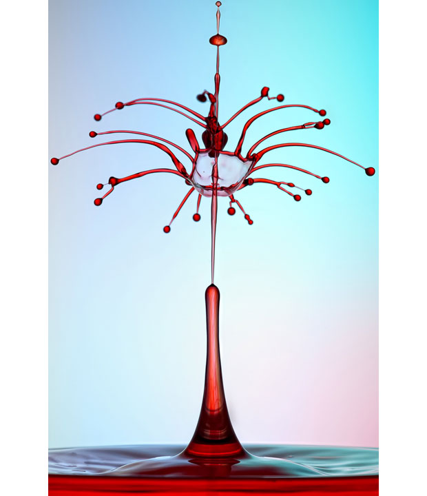 Всплеск воды застыл на фотографии