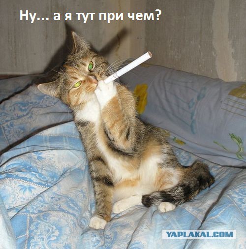 Прощание с ЯПом в картинках, 4 стадии.