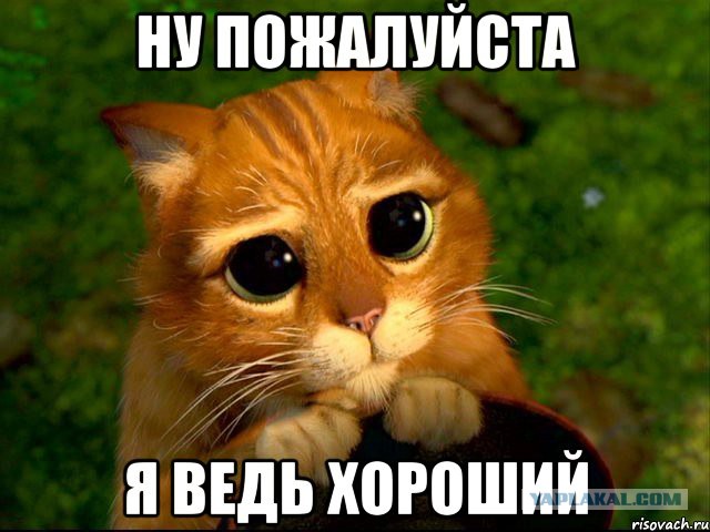 Когда впервые получил 50 юкки за псто...