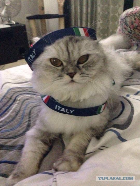 Чемпионат Мира 2014 Бразилия